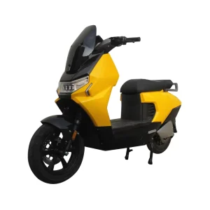 Ebike Other Electric Scooters 800w 1000w City Fat Tire Electric Motorcycle Adult Wide Variety of Styles