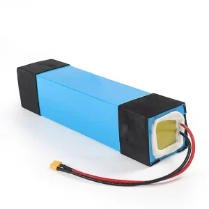 EcoRider E8 E8 2 ESOI(L2) Scooter Spare Replacement Parts Electric Balance Scooter Seg Way Accessories Lithium Battery Pack