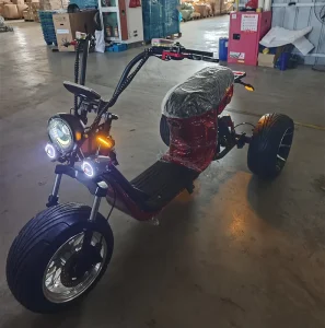 Electric 3 Wheel 2 Passenger Tricycle Scooter Open Body Design High Speed 4000W