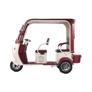 Electric 3 Wheel Scooter Adult Tricycle Electric Motorcycle Electric Vehicle