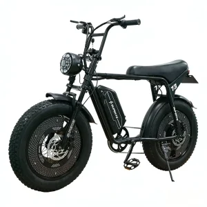 Electric Bicycles Adult Scooters Two Wheel Battery Powered 48V Rear Hub Motor Electric Vehicles