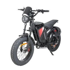 Electric Bike 48V25A 1000W Outdoor Electric Vehicle