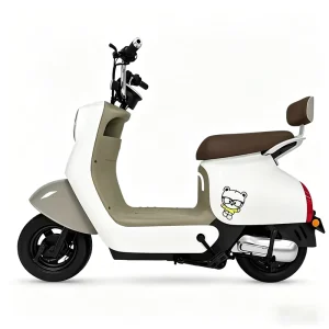 Electric Bike Manufacturer Electric Scooter Factory for Commuting and Transportation Has High Power Capacity