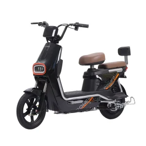 Electric Bike Rechargeable Scooter High Quality Motorbike Electric Bicycle