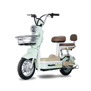 Electric Bike Rechargeable Scooter for Teenager Ebike Electric Bicycle