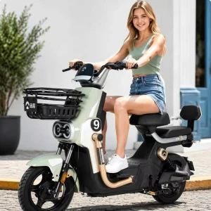 Electric Bikes 48V 60V Motor Brake Type City Bikes Adult Electric Bicycle Speed Scooter Rear Hub Electronic Features