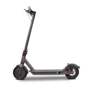 Electric E Wheel Scooter