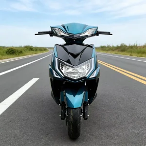 Electric Moped Adults Two wheel Scooter 60km 80km Digital Sensor Waterproof 2000W Motor 120kg Capacity Lithium