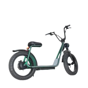 Electric Motorcycle 70KM/h Electric Scooter 1000W 60V 2 Wheel Citycoco Scooter