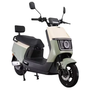 Electric Motorcycle Disc Brake Electric Scooter Electric Moped 1000W