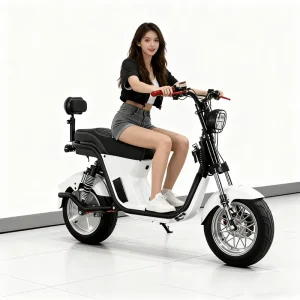 Electric Motorcycle Scooter Electric Bicycle Bike Electric Chopper Motorcycle 2 Wheel Citycoco 2000W