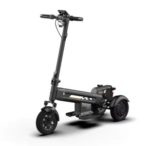 Electric Scooter 1000W Escooter Electric Dirtbike Hoverboard
