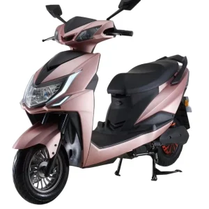 Electric Scooter 1000W Hottest Selling Electric Scooter for Adult
