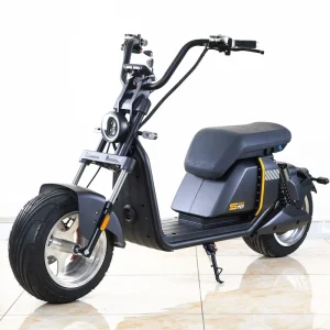 Electric Scooter 2 Wheels Fat Tire 1500W 2000W 3000W 80km/h Wide Tyre Bike City Sport E Motorcycle