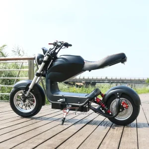 Electric Scooter 2000W 60V 20Ah Long Range 10 Inch Adult EEC COC Electric Motorbike