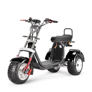 Electric Scooter 3wheel With Removable Batteries New Model