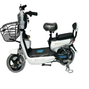 Electric Scooter 48V