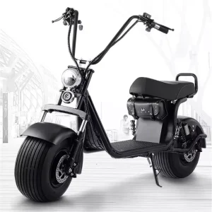 Electric Scooter Citycoco Fat Tyre Motorcycle Scooter