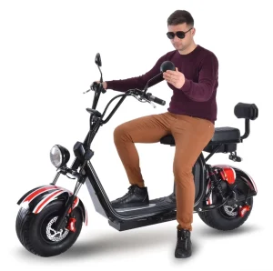 Electric Scooter Dual Motor Adult Electric Scooter 2000w Without Battery