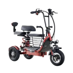 Electric Scooter E Bike with Two Seats and Pet Carriers for Adults and Child