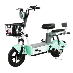 Electric Scooter Made in China for Adult