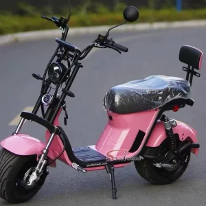 Electric Scooter Mini CityCoco 2-Wheel Electric Scooter Fat Tire for Adult Motorcycle Bike