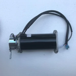 Electric Scooter Motor for Elderly and Disabled 24V 270W Efficiency IE 1 Made in China
