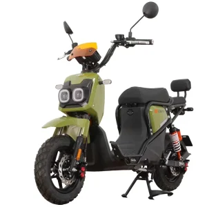 Electric Scooter Motorcycle 1000W 60V Lead Acid Battery Smart Features Two Adults