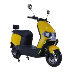 Electric Scooter With Removable Lithium Battery 1000W City E Scooter