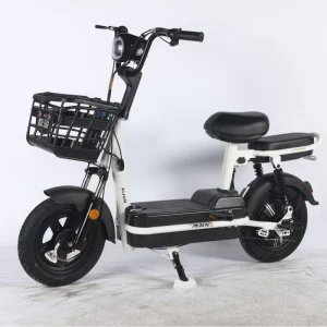 Electric Scooter with 48V 350W power 14 inch vacuum tires 2 seats lead lithium battery for adults
