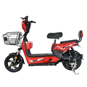 Electric Scooter with Good Quality and Competitive Price Wholesaler Electric Bicycle with Price