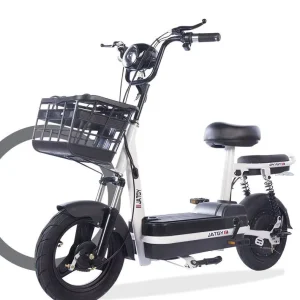 Electric Scooters & Streetbikes for Export Lightweight Models 48V 25km h
