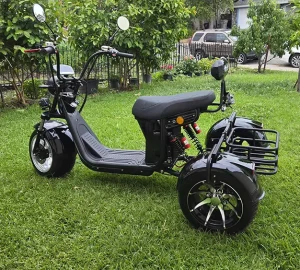 Electric Tricycle Adults 3 Wheel Tricycles Citycoco Electric Scooter 4000w 60v40ah Battery