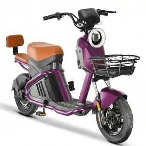Electric Urban Mobility Moto Scooter 500W Lithium City Delivery Campus Ride