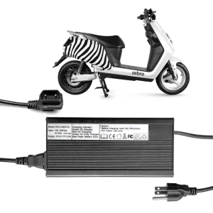 Elyx Zebra DAZZ Electric Scooters Parts 60V30Ah Li Battery Portable Fast Chargers and Battery Replace
