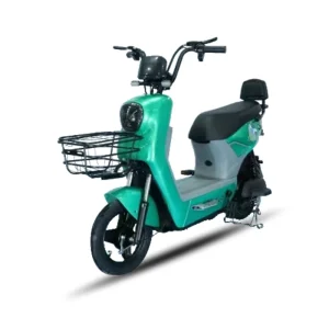 Ew Electric Scooters Para Adulto Model 1200W EEC Electric Scooter Powerful Adult Electric Scooters