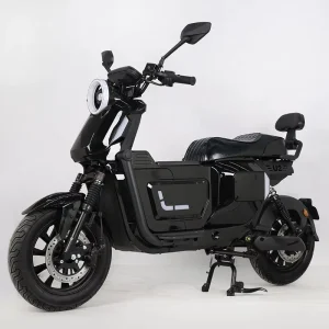 Exclusive UB Electric Motorcycle/Scooter Leisure Passenger-carrying Ultra-long Range Adult Commuter E-bike 50km/h