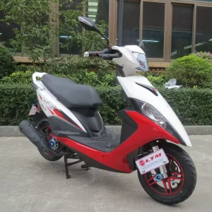 FK100T-G 100cc Gas Scooters 150cc