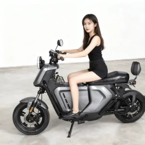 Factory Dircit New Models Electric Scooters Niu U2 1000W 60V Electric Motorcycles with Middle Storage Box Electric Bicycle