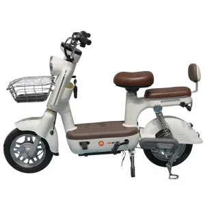 Factory Direct 500W Electric Bike Powerful E Bicycle for Men & Women 200kg Load Capacity to Brazil Vietnam Finland