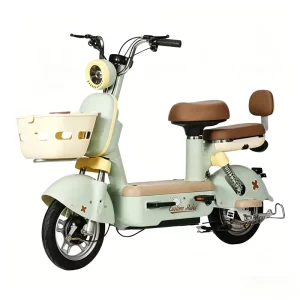Factory Direct Electric Scooter Adult E Bike Elegant Step Thru Electric Motorcycle