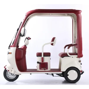 Factory Direct Sale Motorized 3 Wheel Electric Scooter Tricycle for Adults