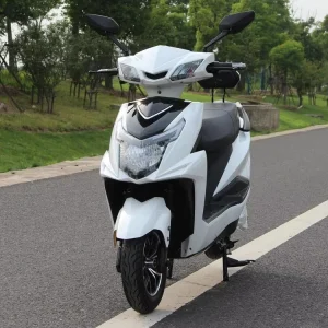 Factory Direct Sale New Model Off road Adult Motorcycle 125cc Four stroke Gasoline Scooter with Brushless Motor and Disc Brake