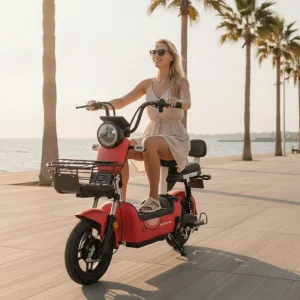Factory Direct Sales 350W for EU 48V Battery E Scooter City Bike Electric Bicycle for Adult Mini Pedicab