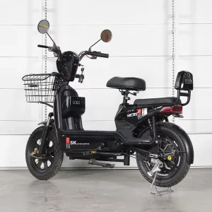Factory Direct Sales Adult Electric Scooter/Ebike Carbon Steel Frame Lead Acid Brushless Motor Dual Suspension 3-Speed City Bike