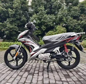 Factory Direct Sales Lady Bike Motorcycle 110CC 5.1/7500kw/rpm Two Wheels Gas Scooters