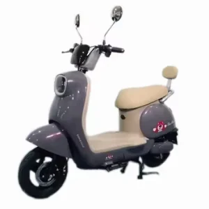 Factory Directly Electric Scooters Adult Mobile Scooter With Warehouse Stock