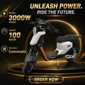 Factory High speed 16 inch U2 Electric Scooter with a 3000W Motor Upgraded Suspension Front and Rear Brakes