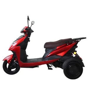 Factory Hybrid Scooter Motorcycle for Adults 1500cc Gas Scooter Three Wheel Air Cooling Tricycle