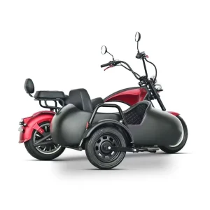 Factory Oem Fuel ElectricTrike Motorcycle Can Take Pet Gas Tricycle Sidecar Scooter With Sidecar